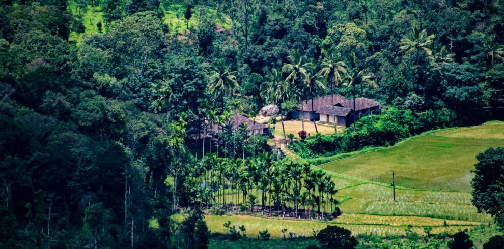 Mysore Coorg tour — illuminated Mysore Palace at night with ornate Indo-Saracenic domes reflected in water