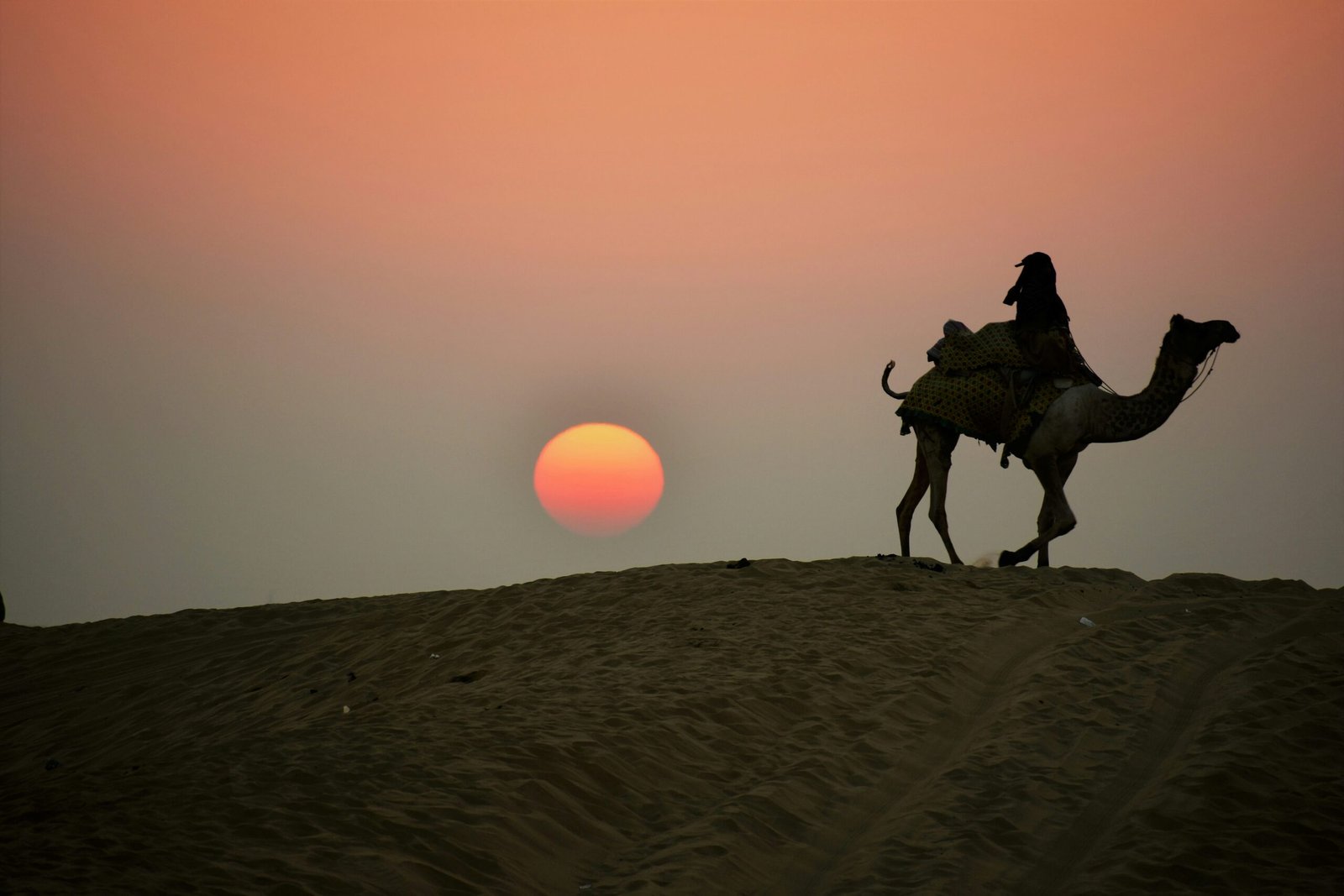 Royal Rajasthan tour — camel caravan crossing Sam Sand Dunes golden sunset Thar Desert Jaisalmer
