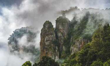 Ooty Kodaikanal tour — panoramic view of misty Nilgiri Hills with lush tea plantations at sunrise
