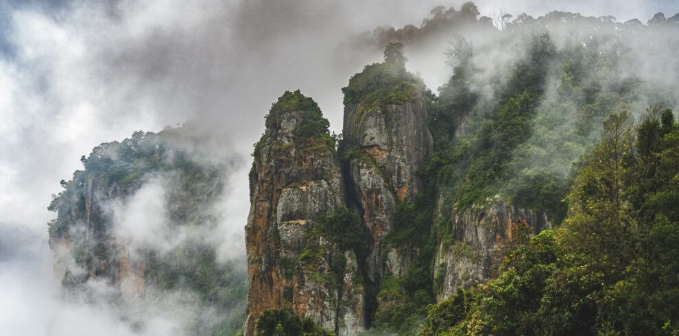 Ooty Kodaikanal tour — panoramic view of misty Nilgiri Hills with lush tea plantations at sunrise