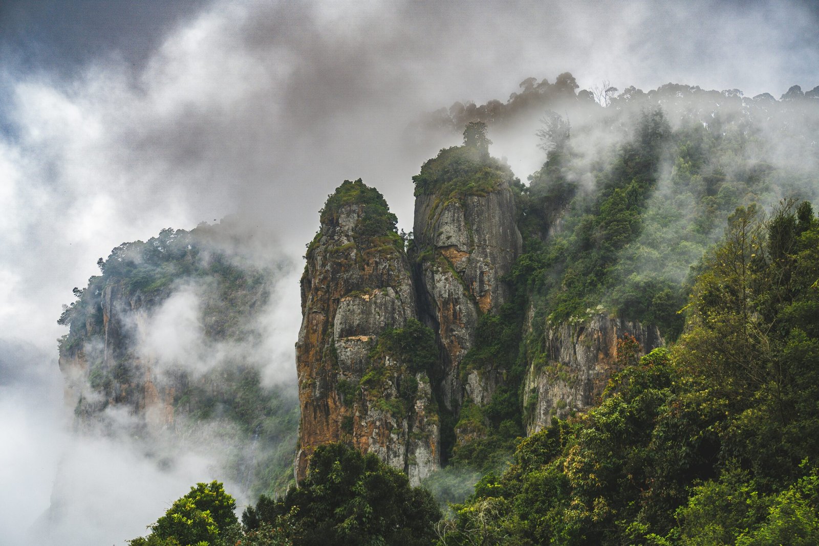 Ooty Kodaikanal tour — panoramic view of misty Nilgiri Hills with lush tea plantations at sunrise