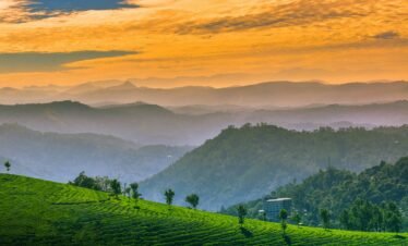 Kerala tour package — aerial view of traditional houseboat cruising through Alleppey backwater canals surrounded by coconut palms