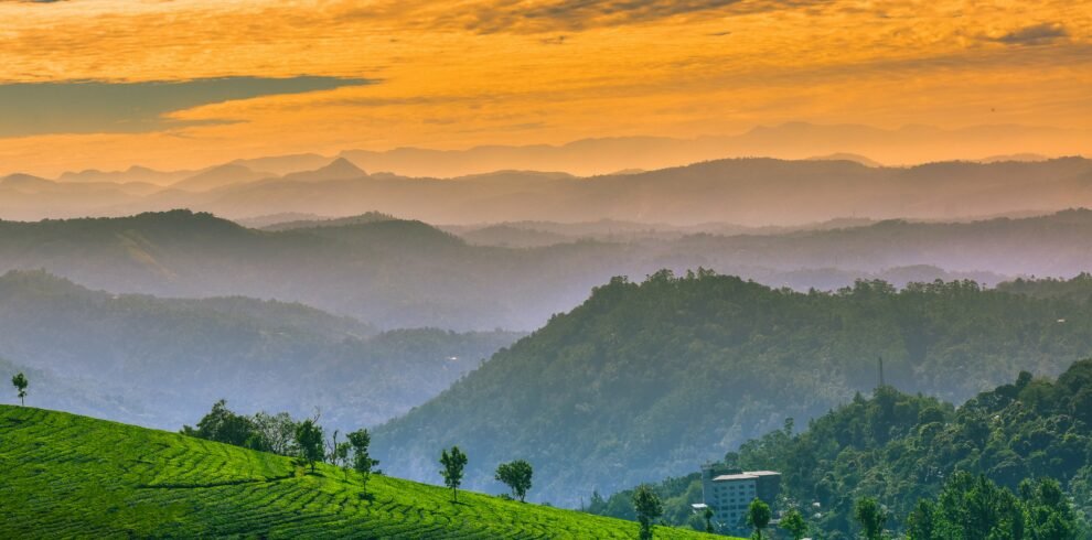 Kerala tour package — aerial view of traditional houseboat cruising through Alleppey backwater canals surrounded by coconut palms