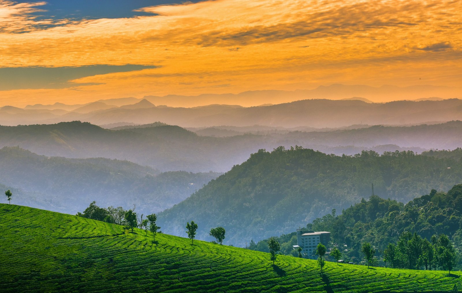 Kerala tour package — aerial view of traditional houseboat cruising through Alleppey backwater canals surrounded by coconut palms