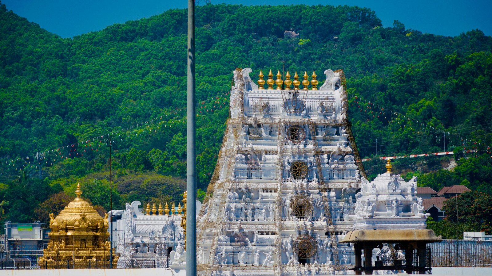 Tirupati darshan tour — Tirumala Venkateswara Temple golden gopuram sacred Saptagiri Hills Andhra Pradesh