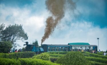 Sikkim Darjeeling tour — panoramic view of Gangtok city with snow-capped Kanchenjunga backdrop