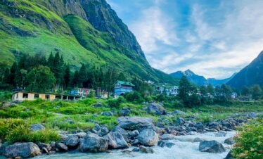 Sikkim complete tour package — Yumthang Valley full bloom rhododendrons alpine meadow North Sikkim