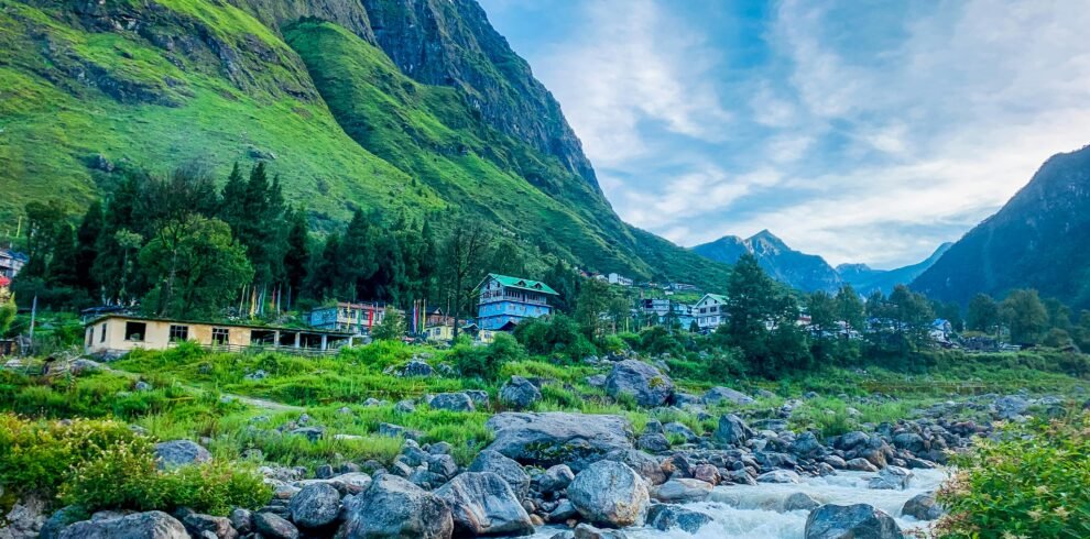 Sikkim complete tour package — Yumthang Valley full bloom rhododendrons alpine meadow North Sikkim