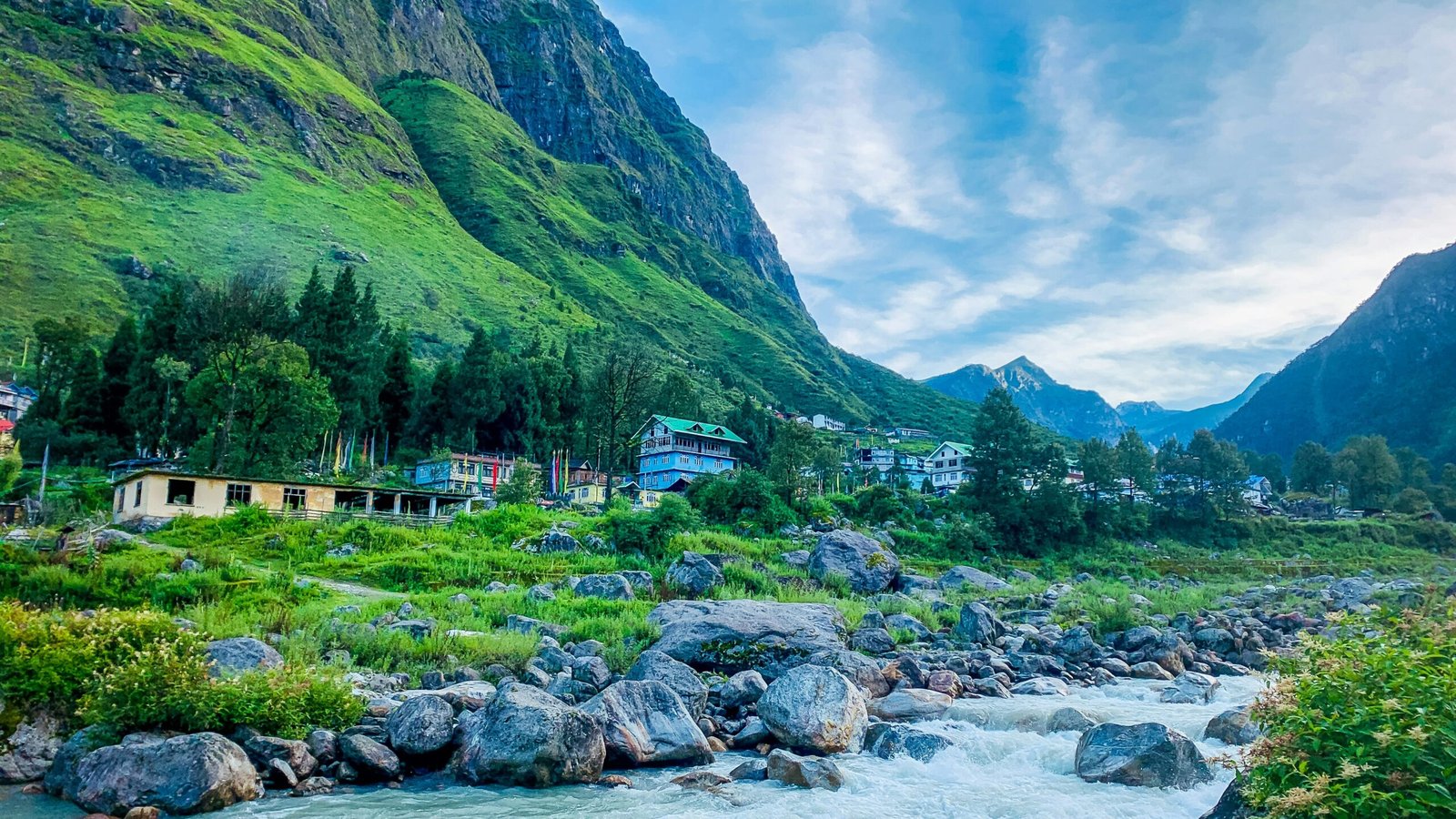 Sikkim complete tour package — Yumthang Valley full bloom rhododendrons alpine meadow North Sikkim
