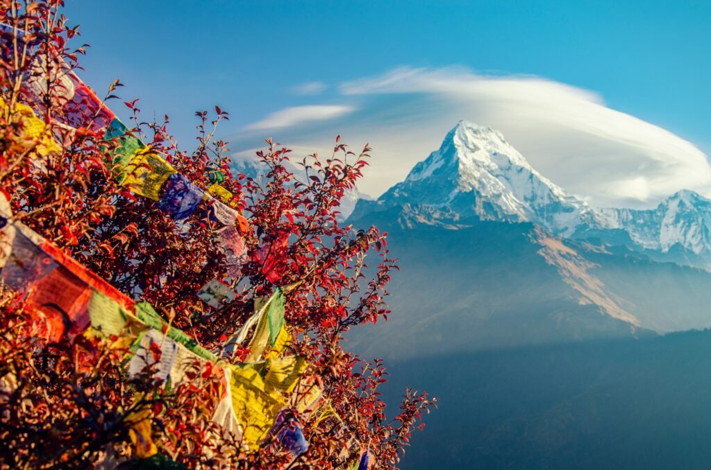 North Bengal's Hidden Gems: The Offbeat Destinations